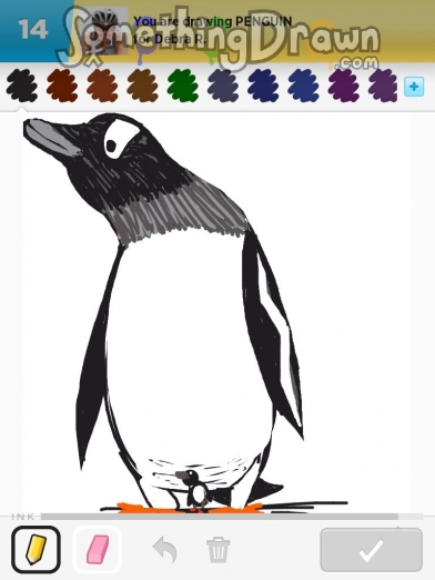 penguin