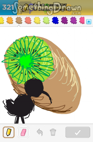 Kiwi