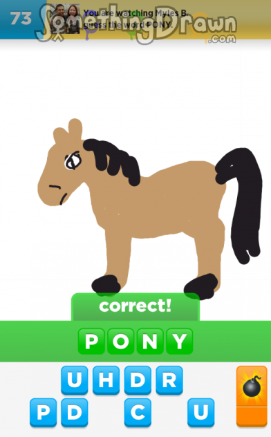 Pony