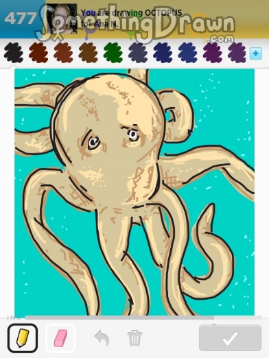 octopus