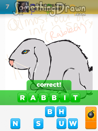 rabbit