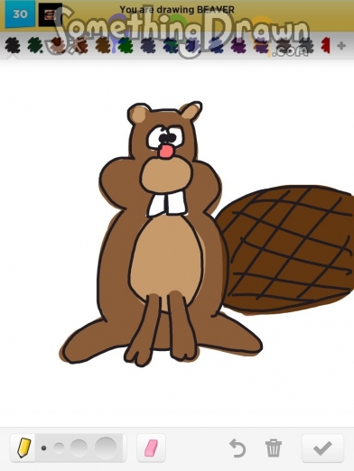 beaver