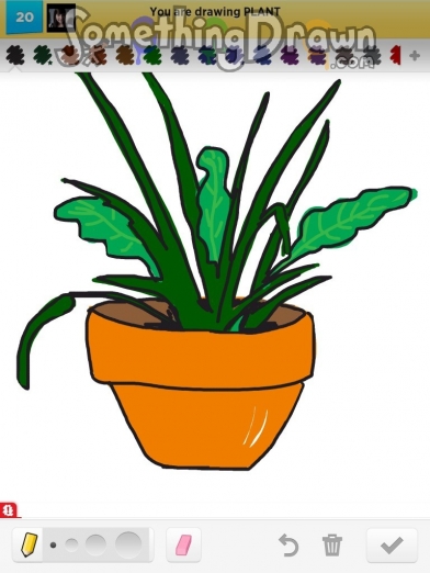 plant