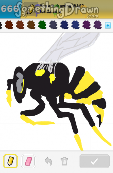 Wasp