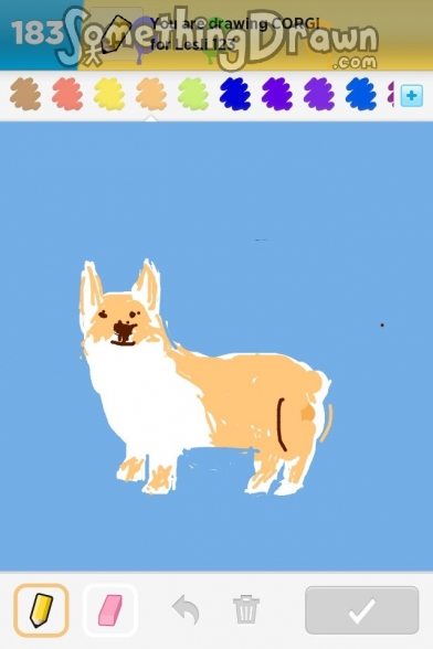 corgi