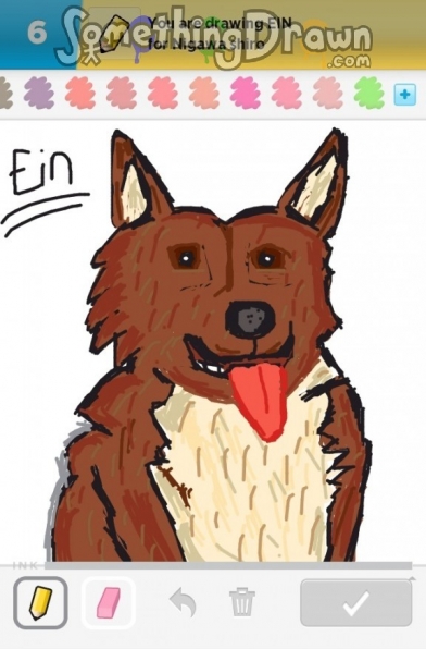 ein