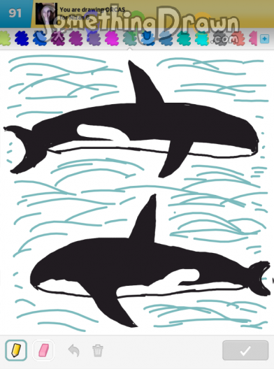 orcas