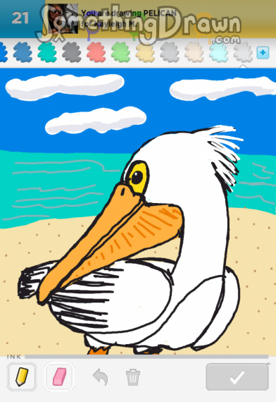 pelican