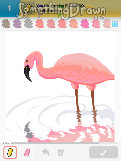 flamingo