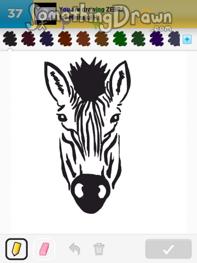 zebra