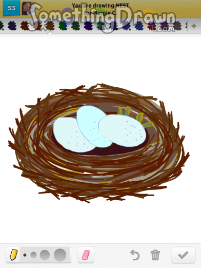 Nest