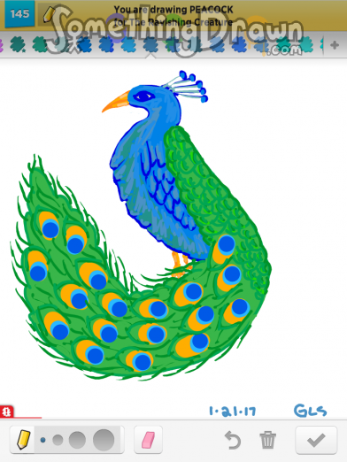 peacock