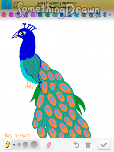 peacock