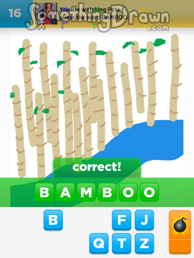 bamboo