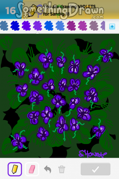 violets