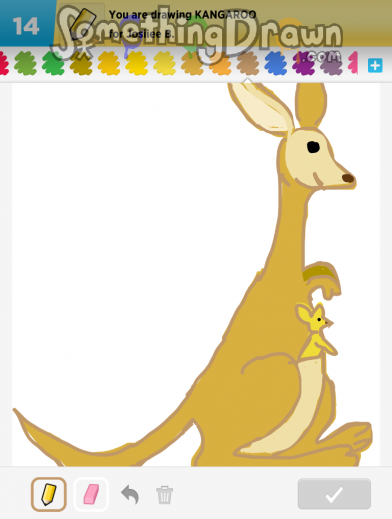 kangaroo