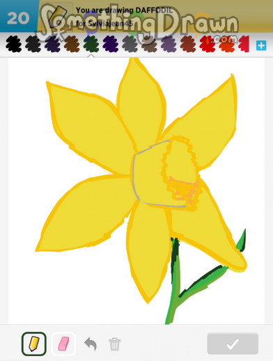 daffodil