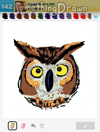 owl