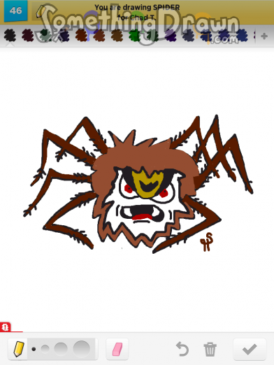 spider