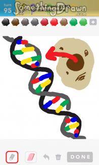 dna