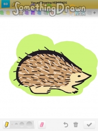 hedgehog