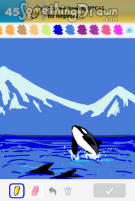 orcas