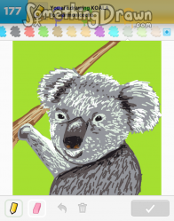 koala