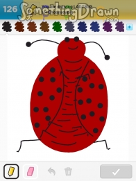 ladybug