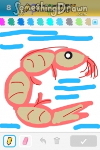 shrimp