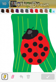 LADYBUG