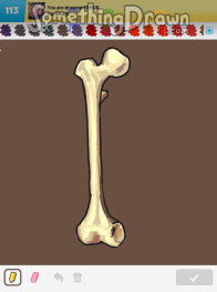 femur