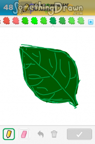 Leaf