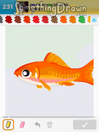 goldfish