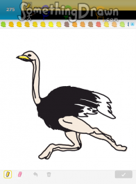 ostrich