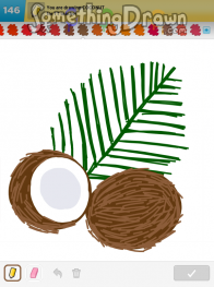 coconut