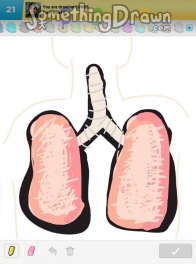 lungs