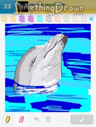 dolphin