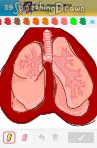 lungs