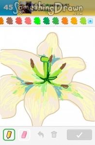 lily