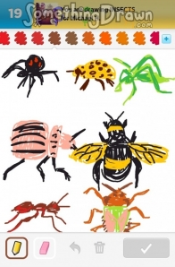 insects