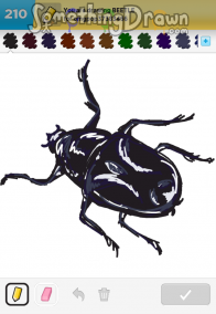 beetle