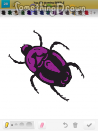 beetle