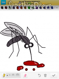 mosquito