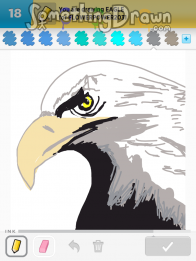 eagle