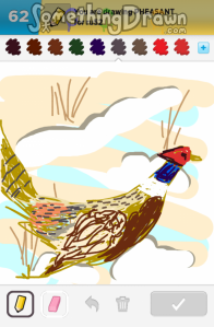 pheasant