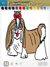 shihtzu