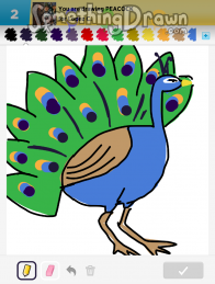 peacock