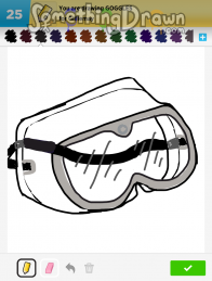 goggles