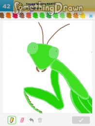 mantis