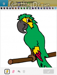 parrot